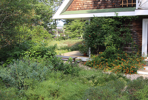 Birdhouse Garden